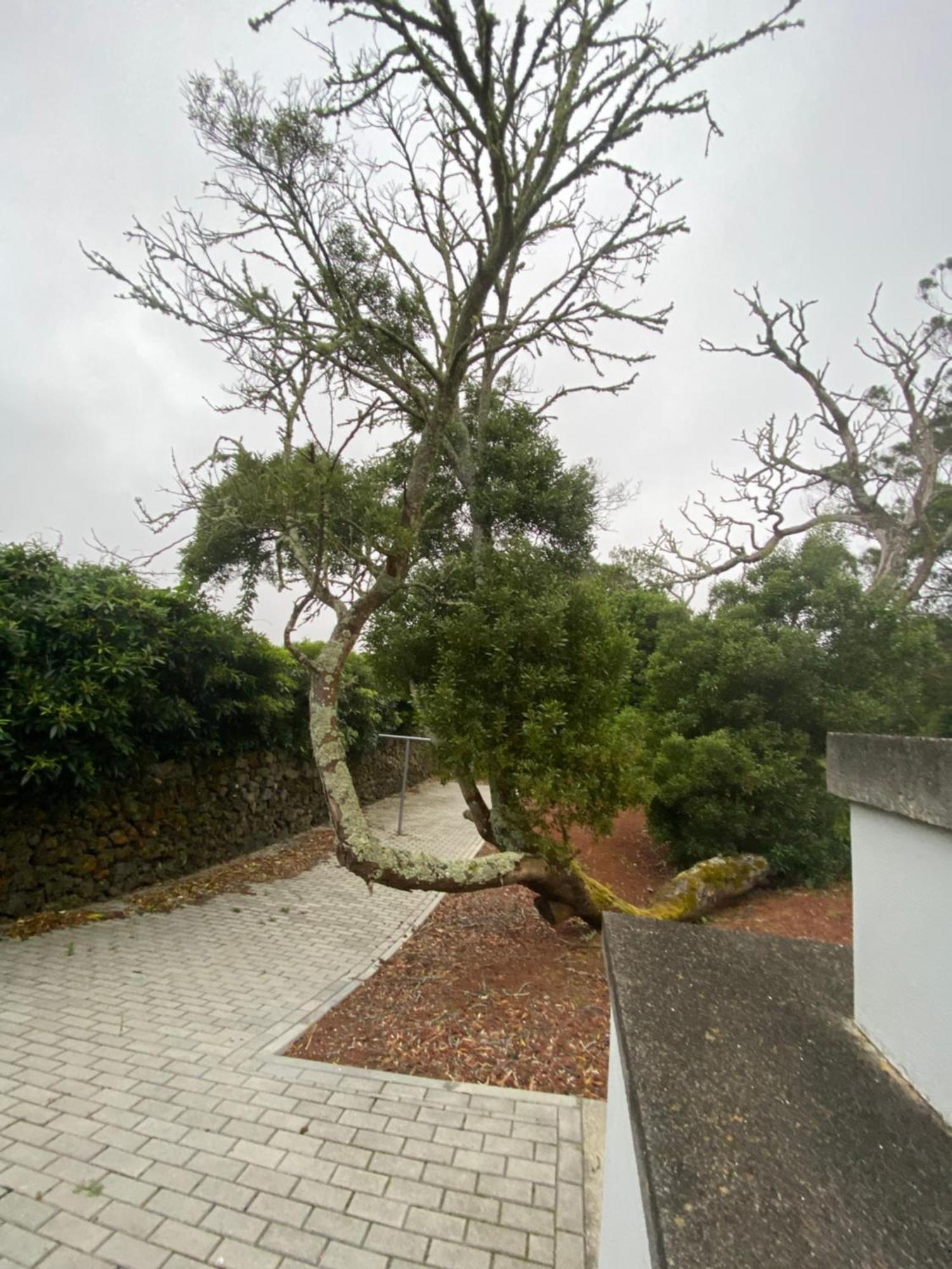 Casa Azul Terceira Island Azores Fonte do Bustardo Eksteriør billede